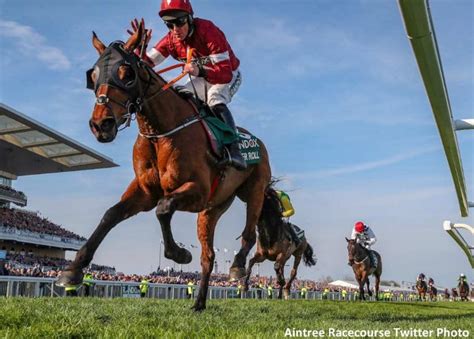 Tiger Roll wins Grand National 2019 .